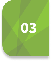 03