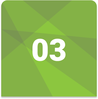03